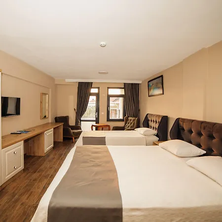 Otel Elia *